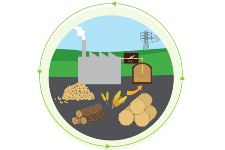 Energieträger Biomasse